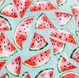Watermelon Slices on Light Blue