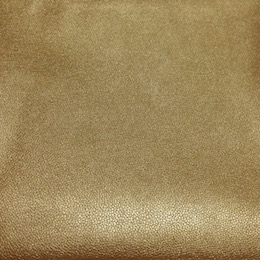 Gold PU leather